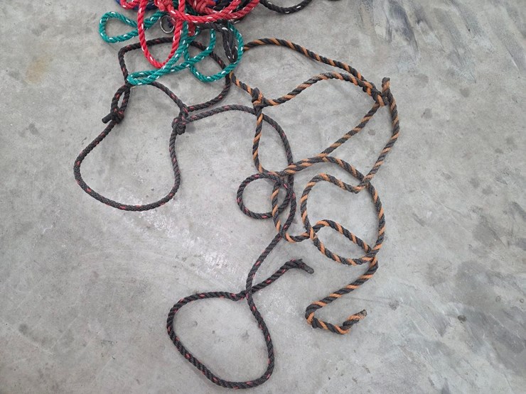 (2)-calf-rope-halters,-(5)-calf-neck-ties,-(6)-hanging-feeders-&-(4)-show-sticks-image-2