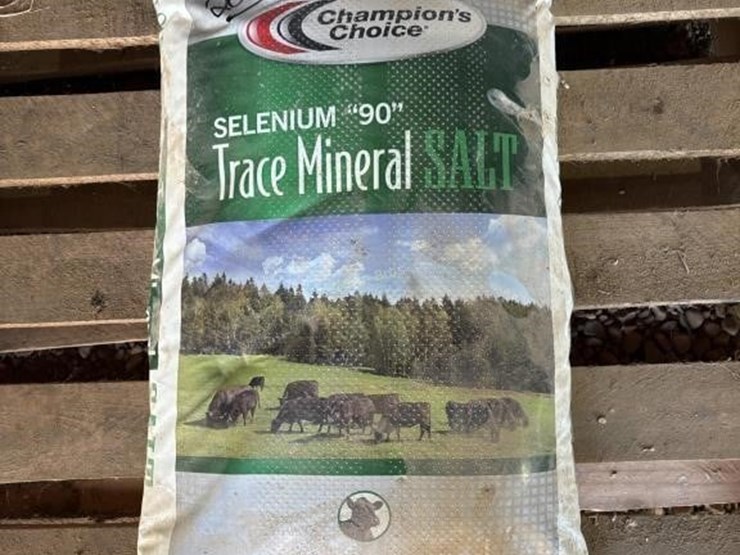 (1)-bag-of-selenium-90-trace-mineral-sallt-image-1