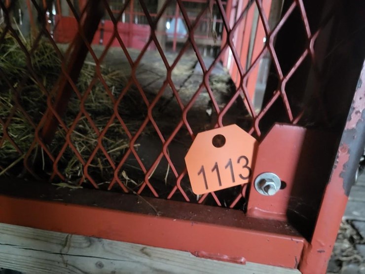 meyer-kicker-wagon-w/unverferth-rge10-running-gear---tag-#1113-image-2