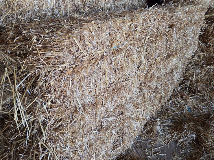 (100)-small-square-bales-of-wheat-straw-image-3