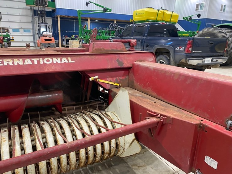 international-435-image-8