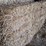 (100)-small-square-bales-of-wheat-straw-image-3