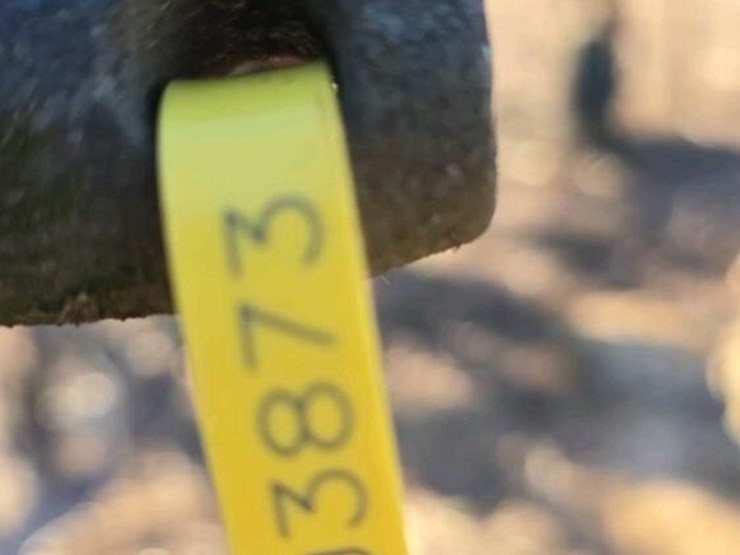 6-row-field-cultivator-image-5