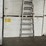 #2774-•-aluminum-14'-ladder-image-8