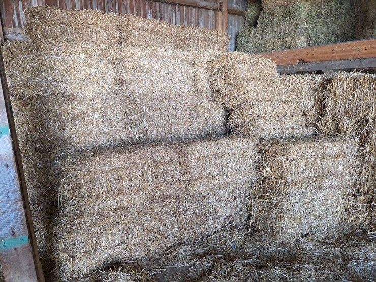 (100)-small-square-bales-of-wheat-straw-image-1