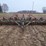 glencoe-vertical-tillage-tool-image-7