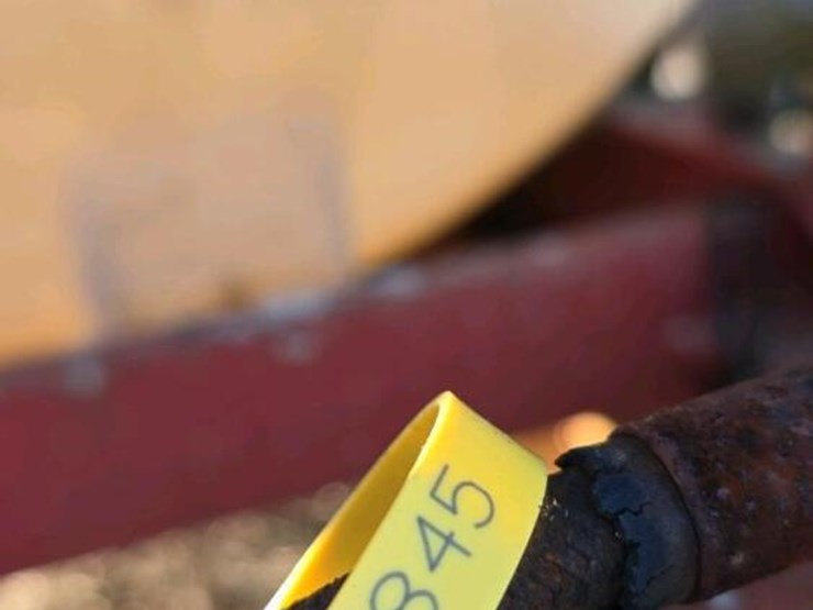 wylie-ep500-image-15