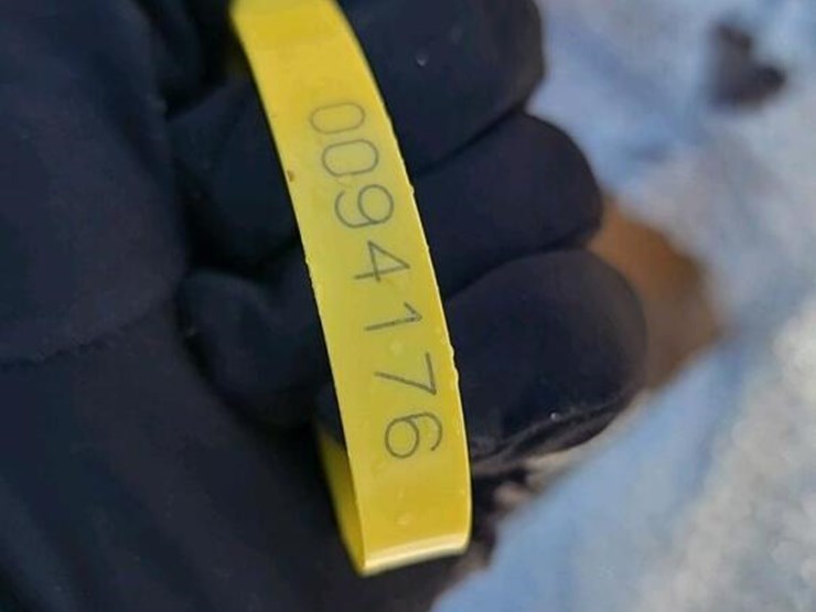 3'-metal-star-image-2