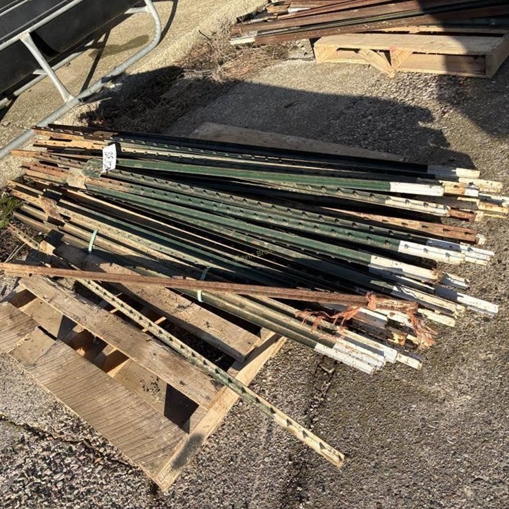 50 6' T-Posts