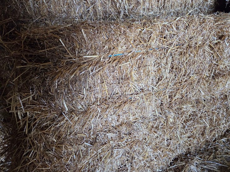 (100)-small-square-bales-of-wheat-straw-image-2