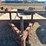 #37625-•-16-ft-t/a-steel-utility-trailer-image-1
