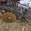 case-ih-5400-image-22