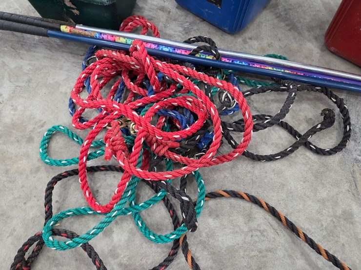 (2)-calf-rope-halters,-(5)-calf-neck-ties,-(6)-hanging-feeders-&-(4)-show-sticks-image-3