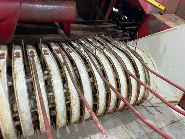 international-435-image-14