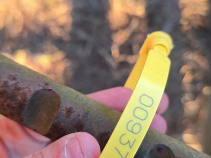 international-886-image-28