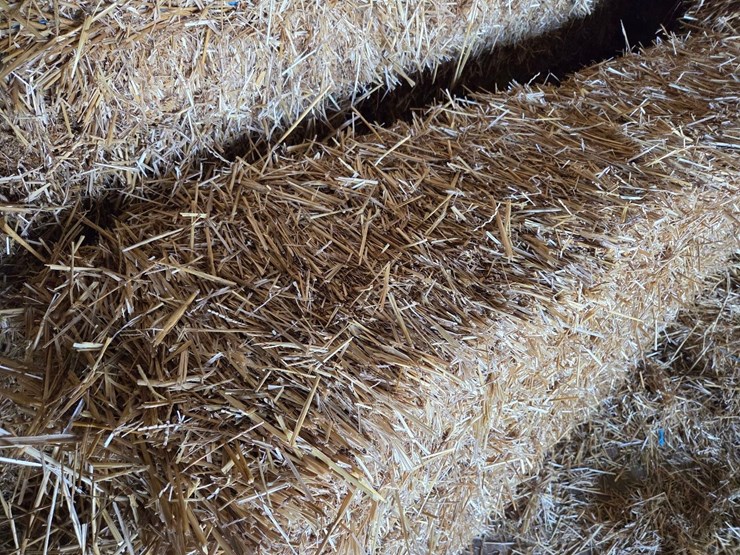 (100)-small-square-bales-of-wheat-straw-image-4