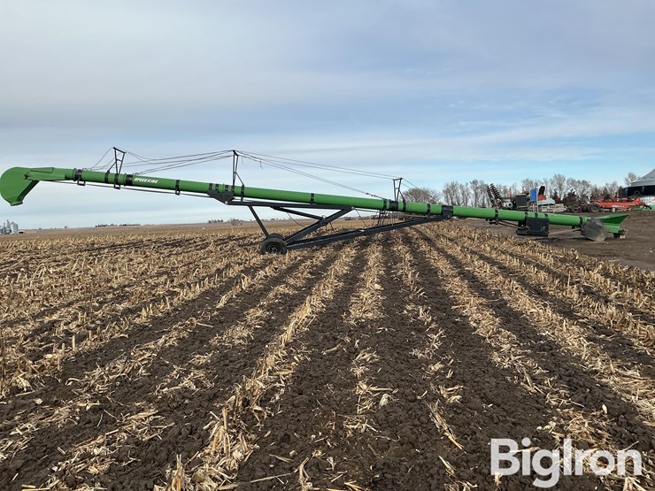 speed-king-65-image-6