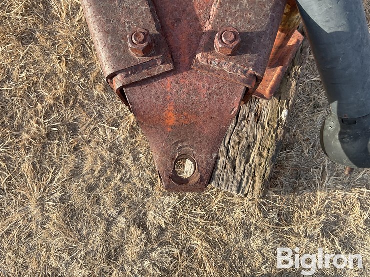 international-575-image-9