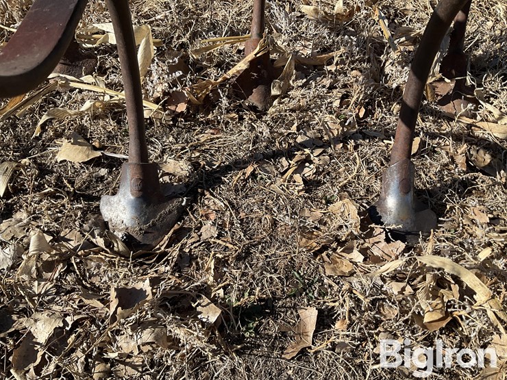 homemade-6'-s-tine-3-pt-field-cultivator-image-11