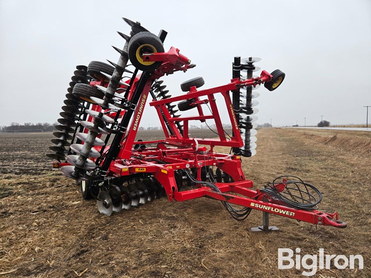 2013-sunflower-1435-image-3