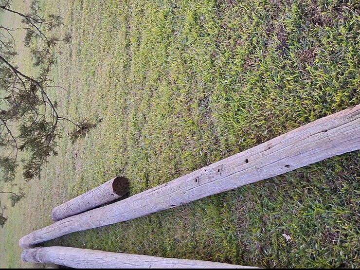 #312-•-lot-of-4-telephone-poles-image-2