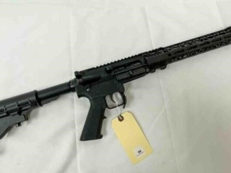 palmentto-state-rifle-image-1