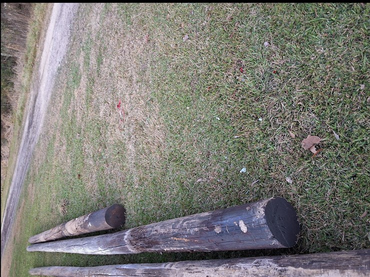 #312-•-lot-of-4-telephone-poles-image-3