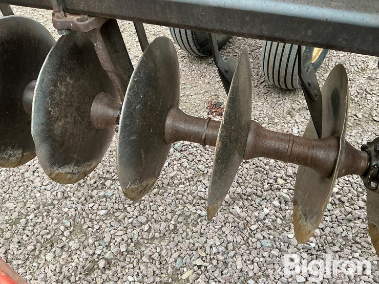 international-496-image-20