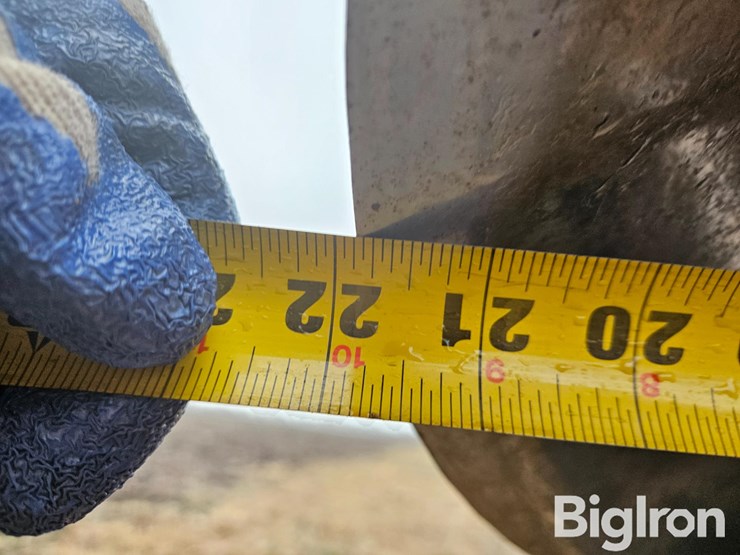 2013-sunflower-1435-image-17