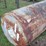 #313-•-diesel-tank-image-3