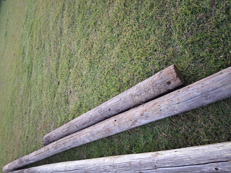 #312-•-lot-of-4-telephone-poles-image-4