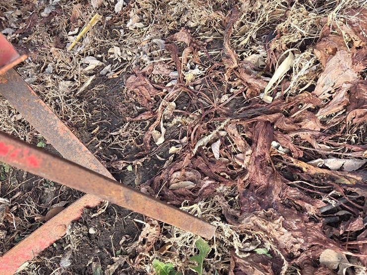 peck-unloading-auger-image-11