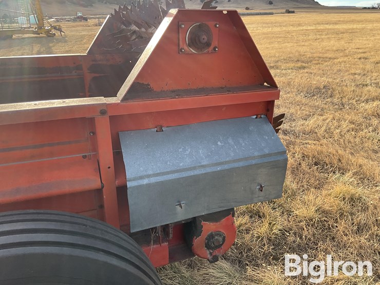 international-575-image-18