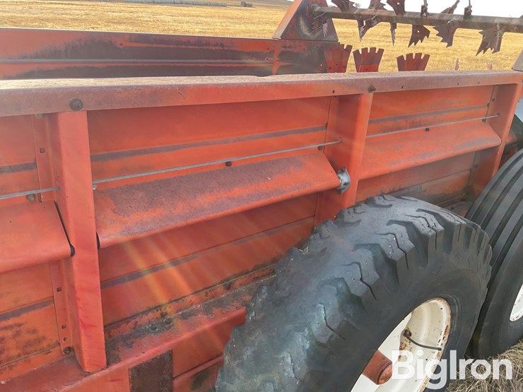 international-575-image-16