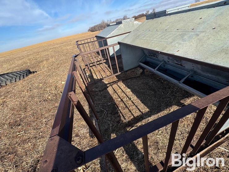 hastings-creep-feeders-image-16