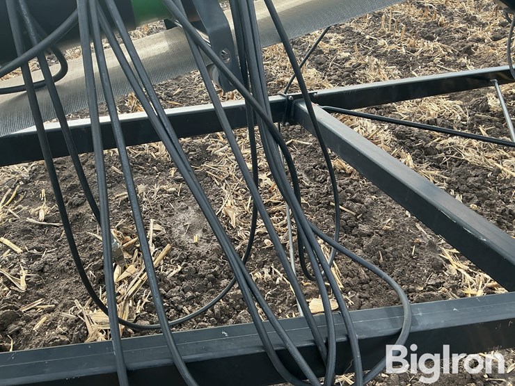 speed-king-65-image-20