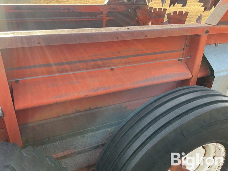 international-575-image-17