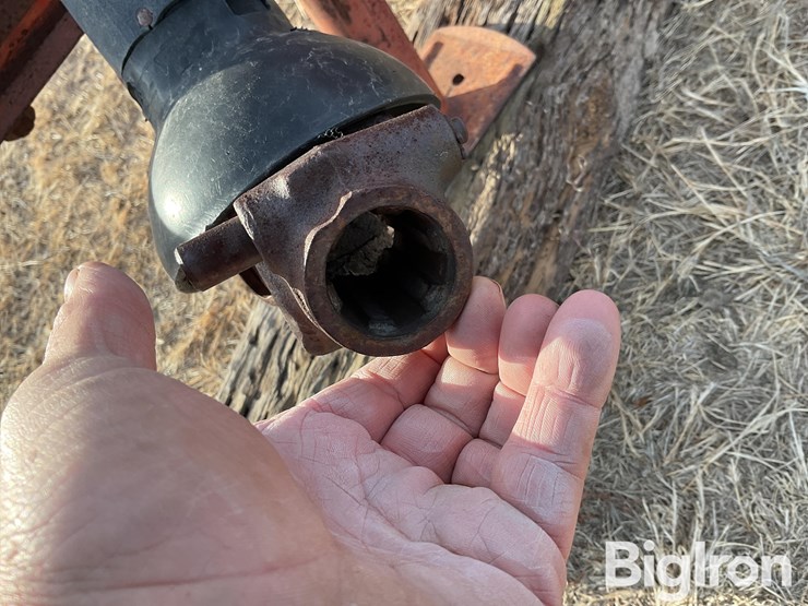 international-575-image-10