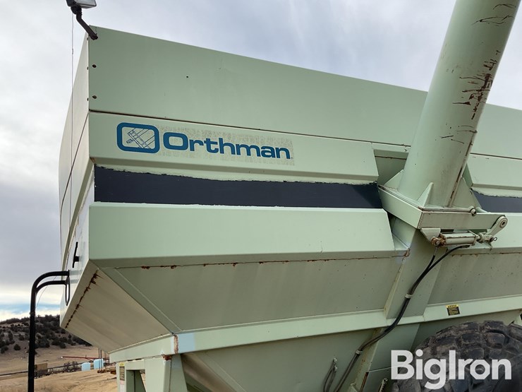 orthman-608-image-19