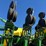 john-deere-1790-ccs-image-31