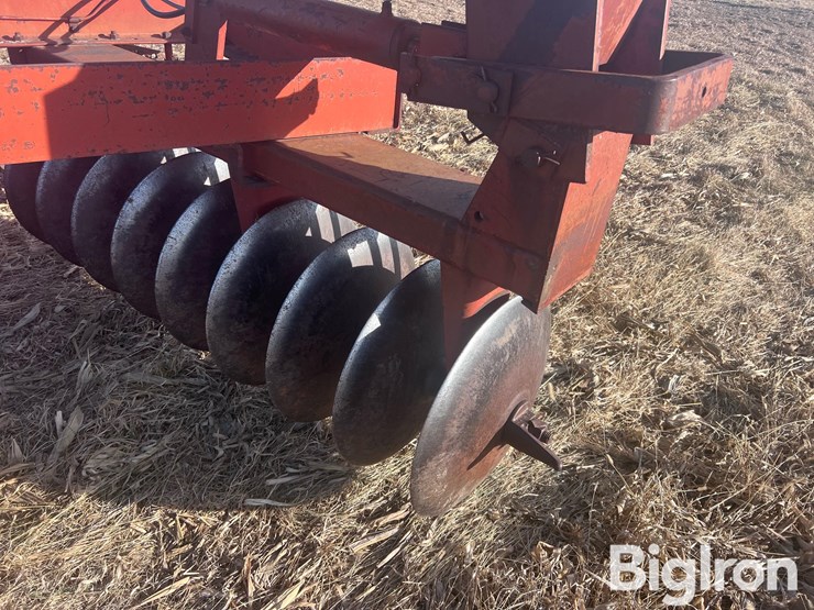 international-485-image-13