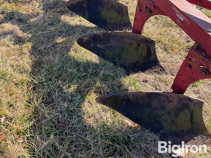 international-550-image-10