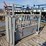 cattle-squeeze-chute-image-4