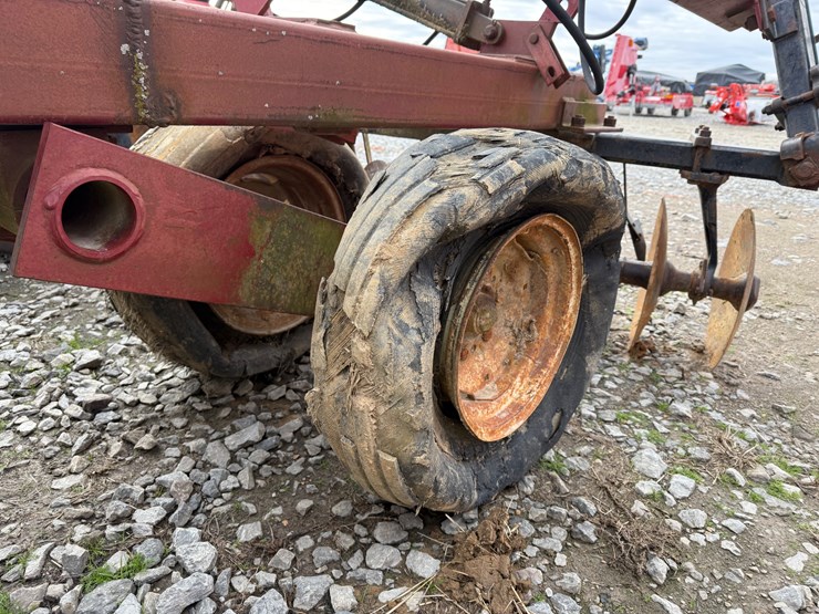 international-496-image-28