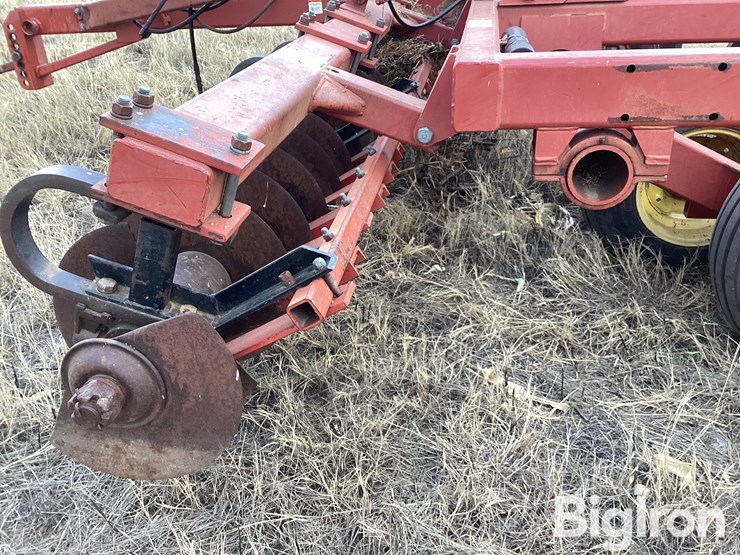 sunflower-4212-19-image-15