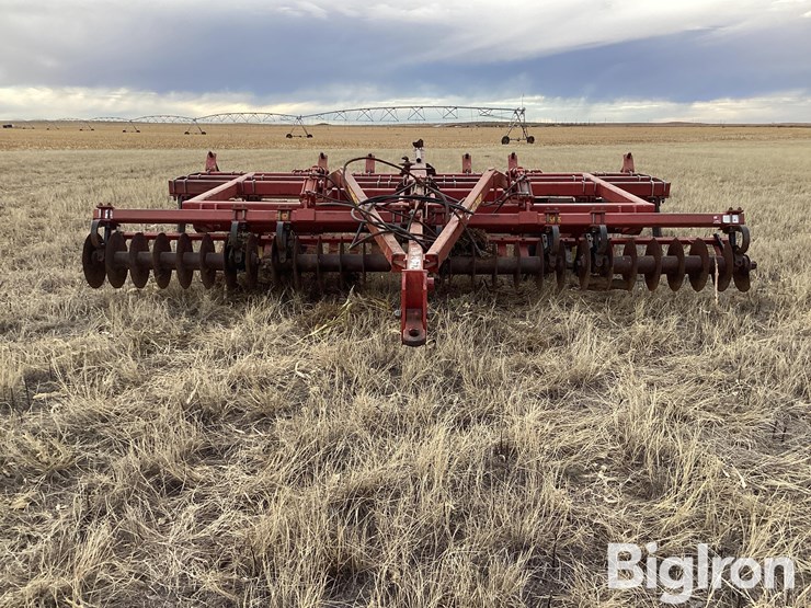 sunflower-4212-19-image-2