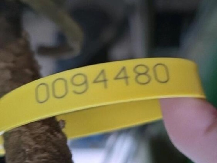 crust-buster-boll-buggy,-s/n-20707-image-8