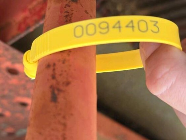 lilliston-peanut-picker,-s/n-00694-image-8