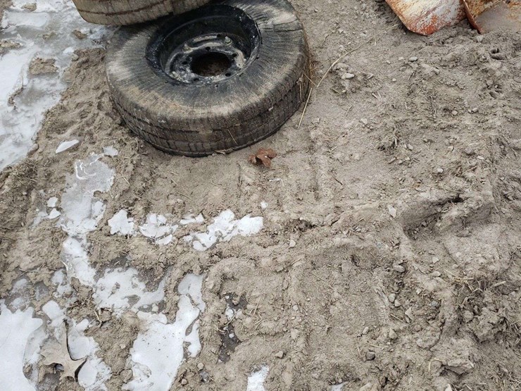 2-bushog-no-flat-tires,-need-tlc-image-3