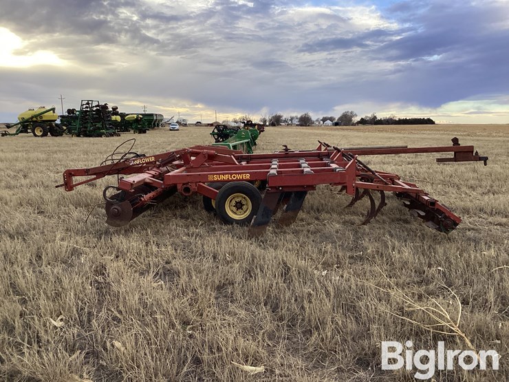 sunflower-4212-19-image-8